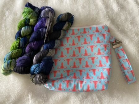 Three skeins of yarn from Destination Yarn and a project bag that has uteruses, fallopian tubes and ovaries on it.