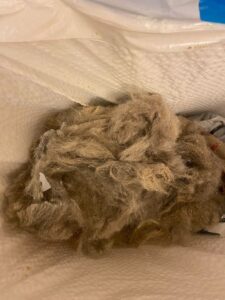 A close up of a massive ball of cat hair probably about a foot wide and two feet long 