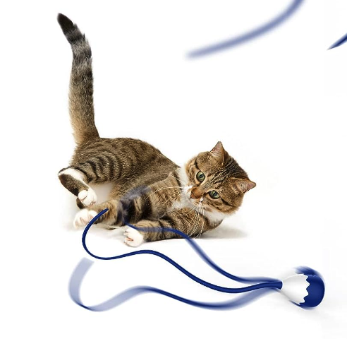 Petcronies Cat Wand Toy, a blue plastic cat toy with a rubber set of tails and a top that rotates adn wobbles - the whole thing kind of looks like a squid, and there's a brown and black tabby cat playing with it attentively 