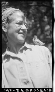 A black and white photograph of Ynez with a bandanna on her head and a bird on her shoulder she has round wire frame glasses