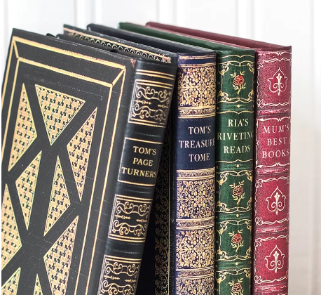 The ereader covers standing on end like books on a shelf in black, blue, green and berry pink