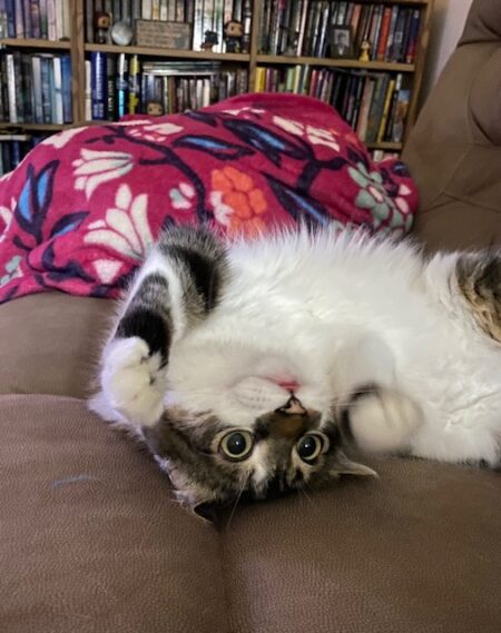 Sweet, dumb Fish lays on his back, staring blankly with wide eyes