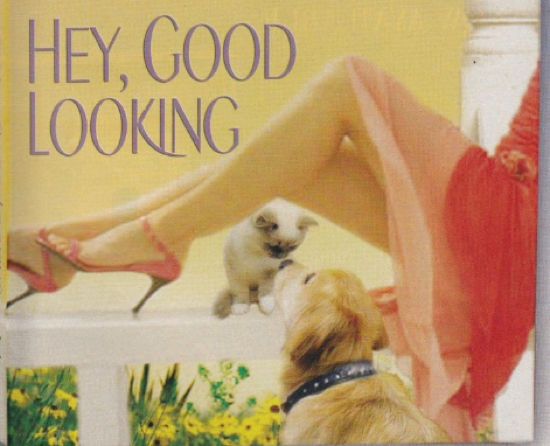 A close up of the dress, legs, kitten, and dog, and it still makes no sense. 