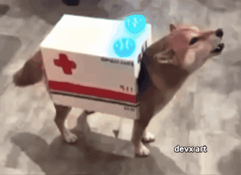 A shiba inu dressed like an ambulance howls