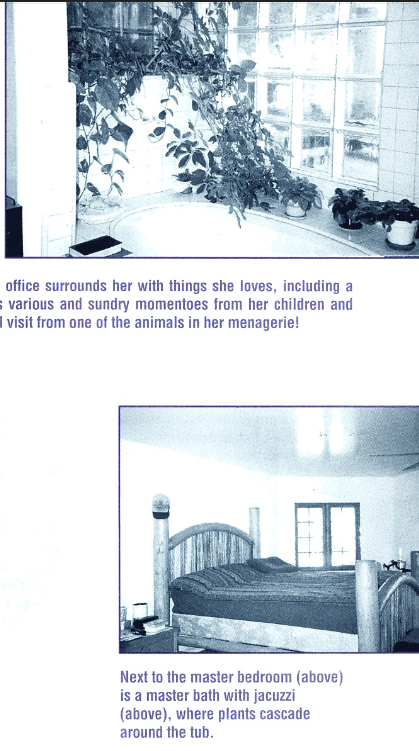 A grey and white photograph of a deep jacuzzi tub with plants and glass block window above a picture of a log bed that's been made with a striped blanket.