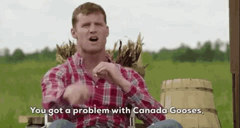 Wayne from Letterkenny says if you have a problem with Canadian Gooses you have a problem with me