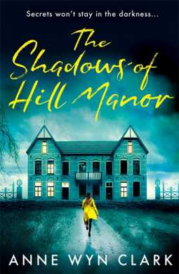 the shaodws of hill manor a woman in a yellow raincoat goes up to a derelict house in blue against a blue gray sky and the title is yellow 