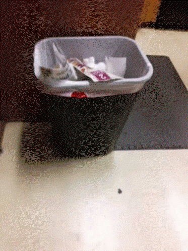 a garbage can