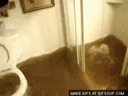a toilet backs up and floods a room