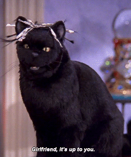 Salem from Sabrina the Teenage witch says GIrlfriend it's up to you 