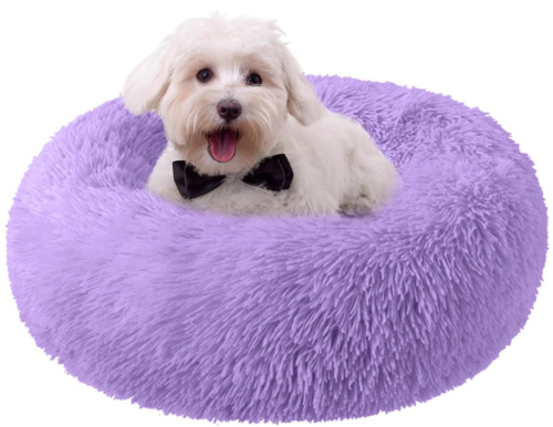 A very fluffy purple pet bed with a white dog wearing a bow tie sitting inside it. Not sure the dog was actually there or if the dog was photoshopped in