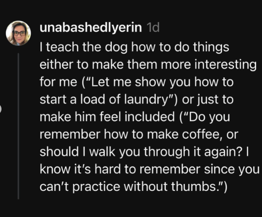 A screenshot that reads, "I teach the dog how to do things either to make them more interesting for me like 'Let me show you how to start a load of laundry' or just to make him feel included like, 'Do you remember how to make coffee, or should I walk you through it again? I know it's hard to remember since you can't practice without thumbs.'