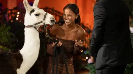 Alexe and the No Drama Llama. The llama is white and brown and on a brown leather lead, while Alexe is wearing a brown off the shoulder gown with gold sparkles