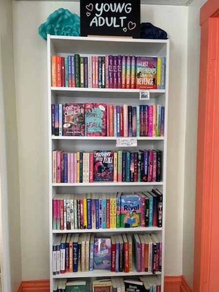 A shelf of YA books with some face out, such as Out of Character, Rival, Crashing into You