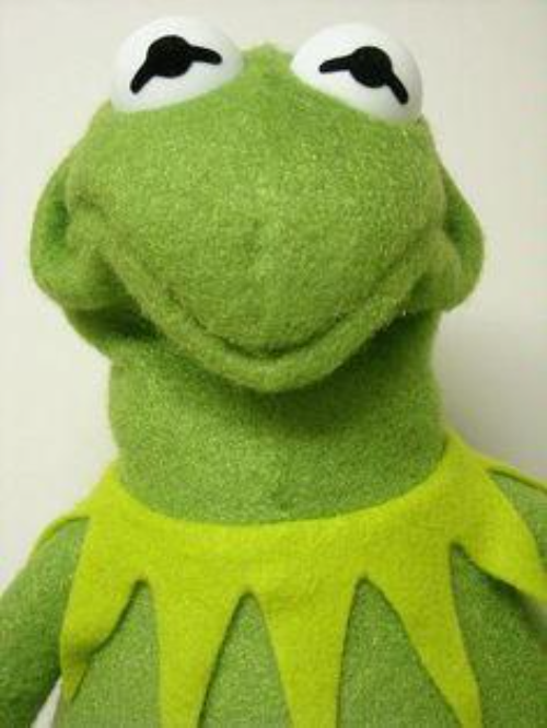 Kermit the Frog making a worried face where his little froggy lips are all scrunched up and tightened.