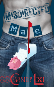 Misdirected Male by Cassidy Lish. A male torso in jeans. A white mail box, with letters spilling out is positioned right by his crotch and the mail flag is up.