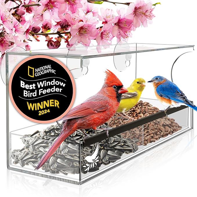 A plastic bird feeder that suctions to a window