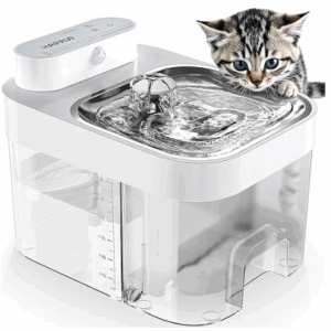 A tabby kitten looking over the edge of a white battery operated fountain with a metal tray and small bubbler in the middle