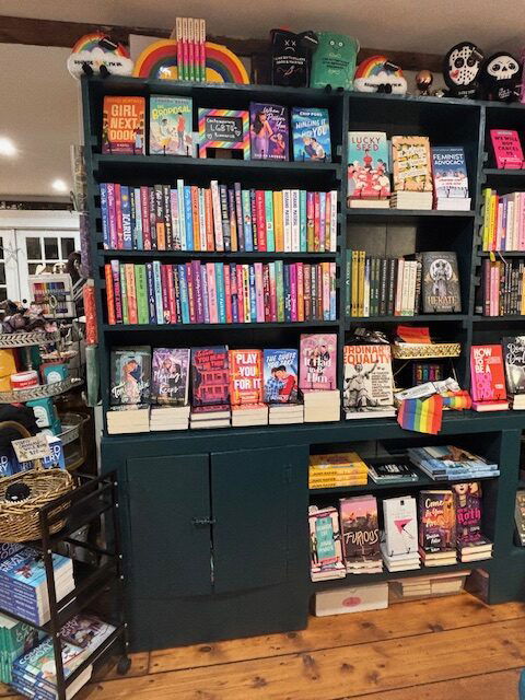 A stuffed bookshelf with colorful romance titles with books upright, stacked, and tucked into cubbies