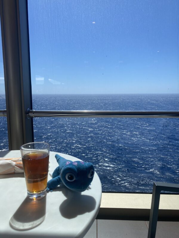 view of the ocean from deck with a table that has a toy lizard and glass of iced tea
