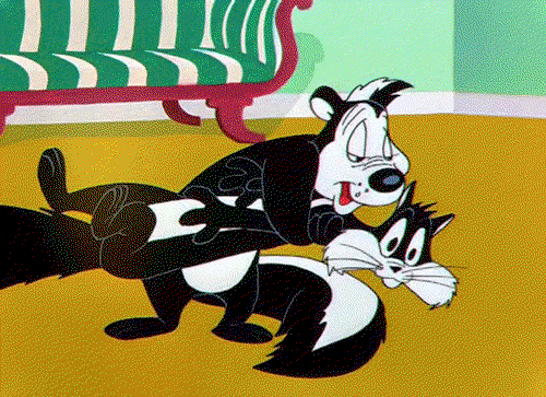 Pepe LePew holds down the black and white cat he's obsessed with and kisses her over nad over