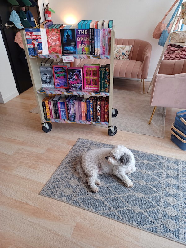 Finney's namesake, a shaggy grey dog, resting on a grey rug on a light wood floor with a wheeled rack of romance novels behind 