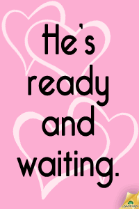 Runaway Groom - Virginia Nelson