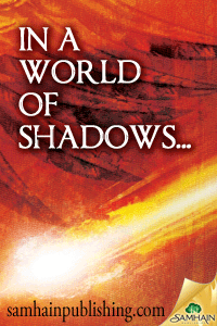 Dark Flight - the shadow slayers paranormal romance