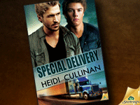 Heidi Cullinan - Special Delivery Series at Samhain Publishing