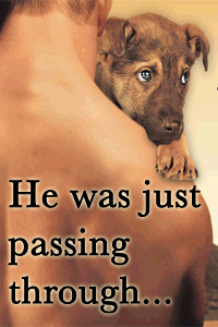 Jill Shalvis - Animal Magnetism