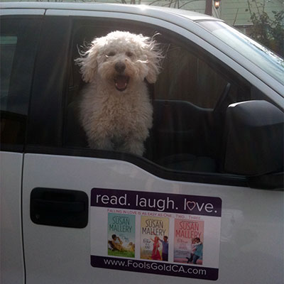 A very happy white fuzzy dog looking out a car window with a Susan Mallery magnet on the door. 